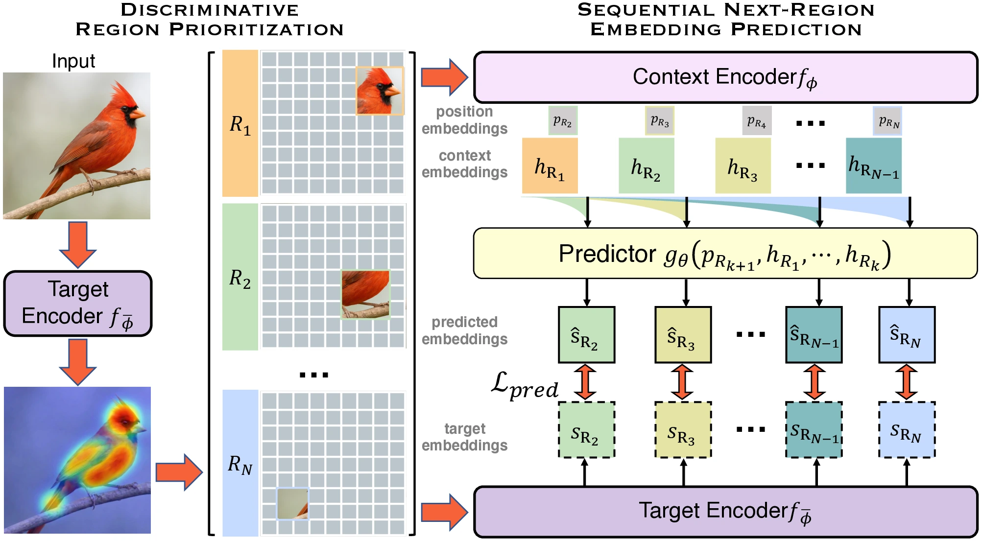 Fig. 2 overview of DSeq-JEPA