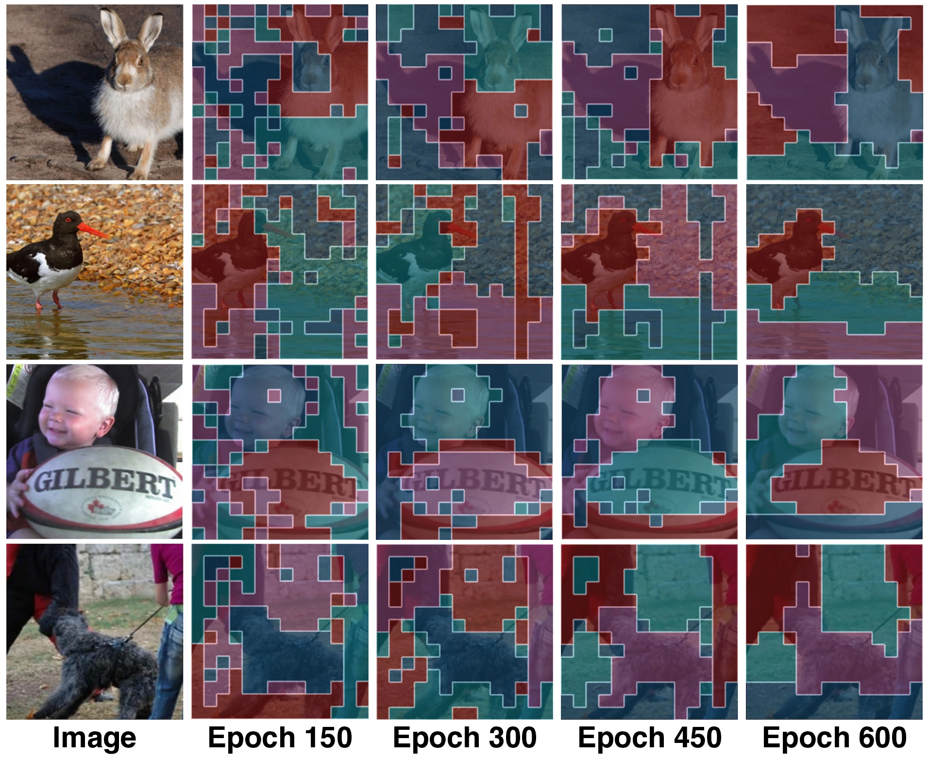Patch-level clustering evolution across pre-training epochs